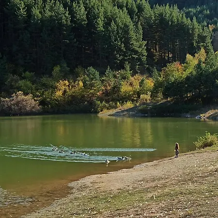 Emerald Buddha * Μπάνσκο